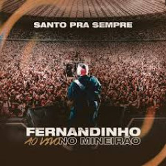 Fernandinho